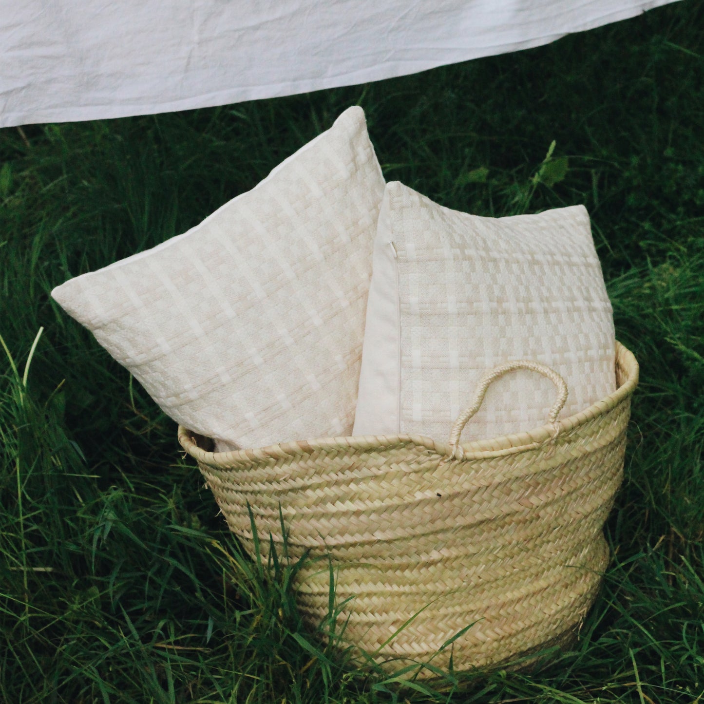 Integrale cushion x PANAC
